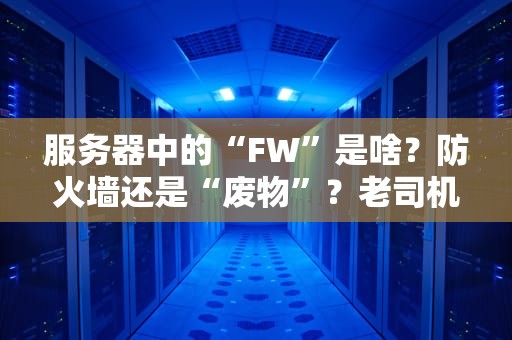 服务器中的“FW”是啥？防火墙还是“废物”？老司机带你轻松搞懂！