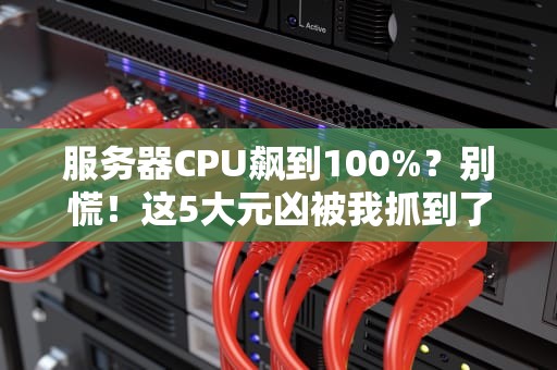 服务器CPU飙到100%？别慌！这5大元凶被我抓到了（附急救指南）