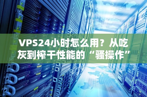 VPS24小时怎么用？从吃灰到榨干性能的“骚操作”指南！