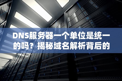 DNS服务器一个单位是统一的吗？揭秘域名解析背后的“小秘密”