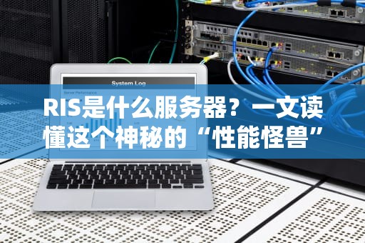 RIS是什么服务器？一文读懂这个神秘的“性能怪兽”！