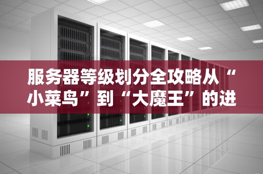服务器等级划分全攻略从“小菜鸟”到“大魔王”的进化之路