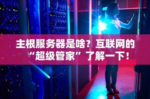 主根服务器是啥？互联网的“超级管家”了解一下！