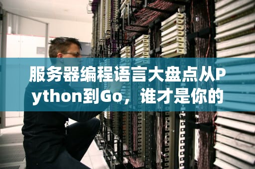 服务器编程语言大盘点从Python到Go，谁才是你的“真命天子”？