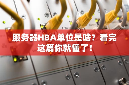 服务器HBA单位是啥？看完这篇你就懂了！