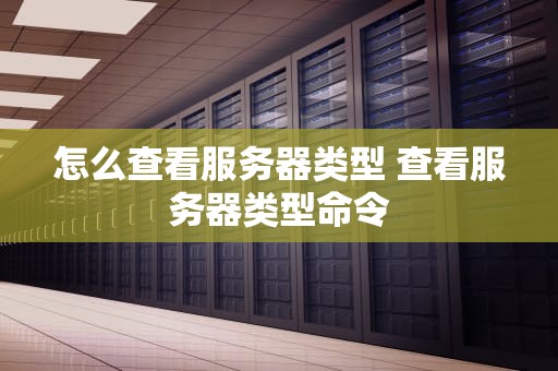 怎么查看服务器类型 查看服务器类型命令