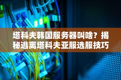 塔科夫韩国服务器叫啥？揭秘逃离塔科夫亚服选服技巧，延迟直降50ms！