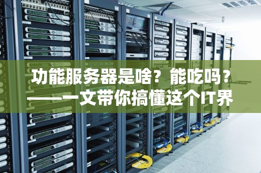 功能服务器是啥？能吃吗？——一文带你搞懂这个IT界瑞士军刀！