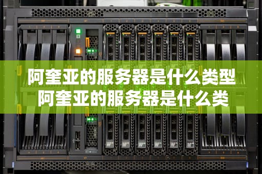 阿奎亚的服务器是什么类型 阿奎亚的服务器是什么类型的