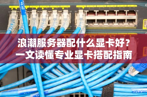 浪潮服务器配什么显卡好？一文读懂专业显卡搭配指南！