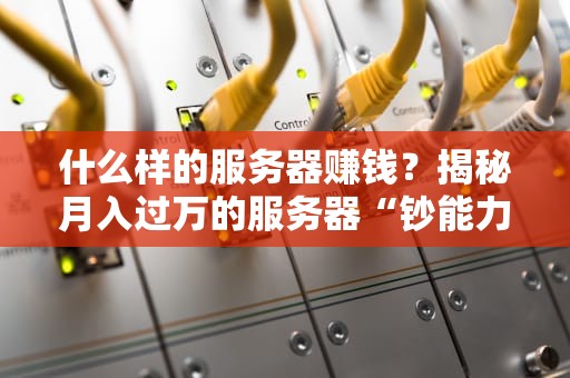 什么样的服务器赚钱？揭秘月入过万的服务器“钞能力”秘籍！