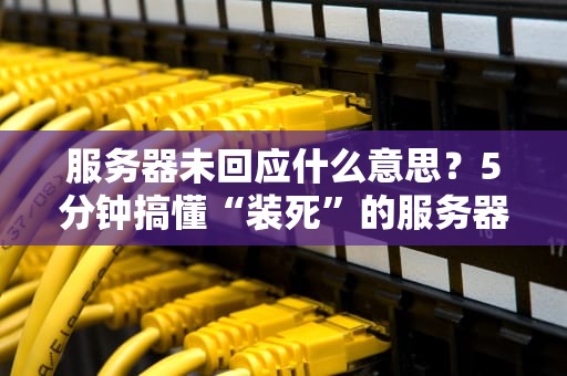 服务器未回应什么意思？5分钟搞懂“装死”的服务器在想啥！