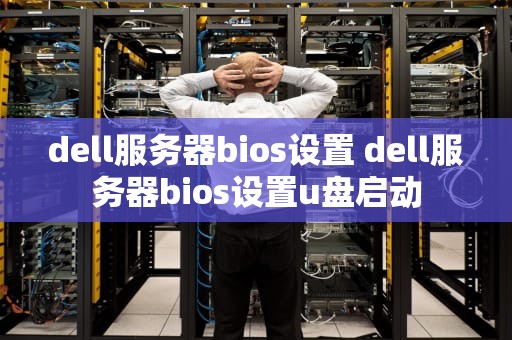 dell服务器bios设置 dell服务器bios设置u盘启动