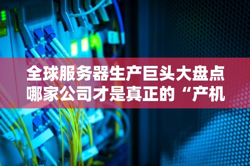 全球服务器生产巨头大盘点哪家公司才是真正的“产机狂魔”？
