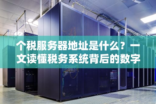 个税服务器地址是什么？一文读懂税务系统背后的数字大管家！