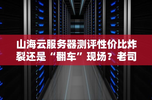 山海云服务器测评性价比炸裂还是“翻车”现场？老司机带你避坑！