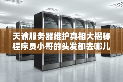 天谕服务器维护真相大揭秘程序员小哥的头发都去哪儿了？