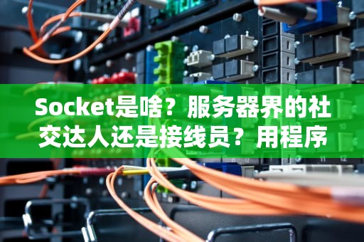Socket是啥？服务器界的社交达人还是接线员？用程序员冷笑话讲透！