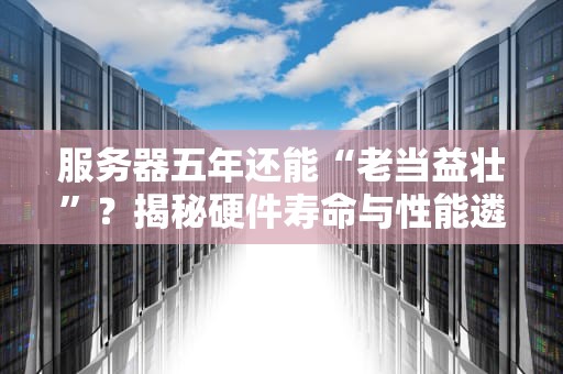服务器五年还能“老当益壮”？揭秘硬件寿命与性能遴选的真相！