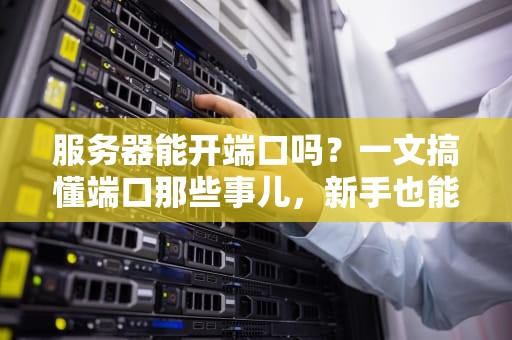 服务器能开端口吗？一文搞懂端口那些事儿，新手也能变大神！