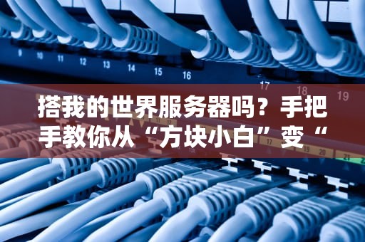 搭我的世界服务器吗？手把手教你从“方块小白”变“服主大佬”！