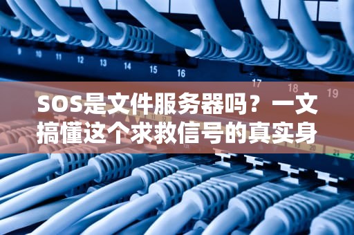 SOS是文件服务器吗？一文搞懂这个求救信号的真实身份！