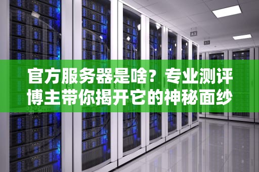 官方服务器是啥？专业测评博主带你揭开它的神秘面纱！