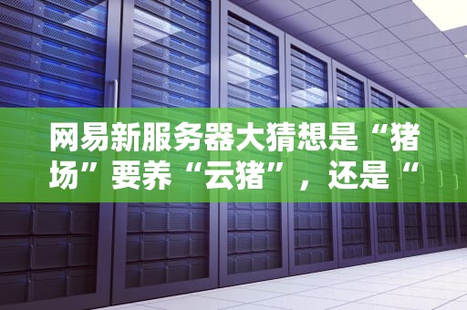 网易新服务器大猜想是“猪场”要养“云猪”，还是“阴阳师”要开新服？