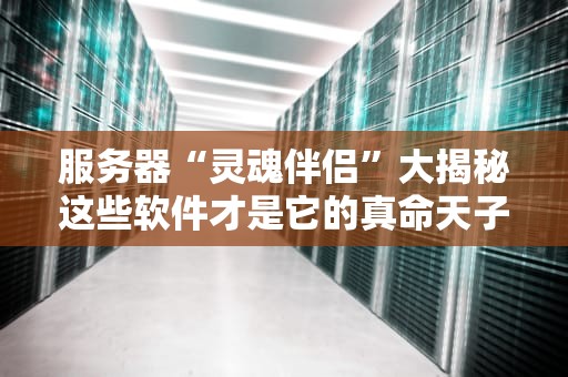 服务器“灵魂伴侣”大揭秘这些软件才是它的真命天子！