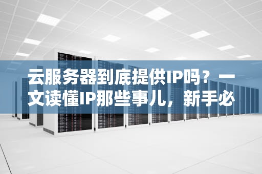 云服务器到底提供IP吗？一文读懂IP那些事儿，新手必看！