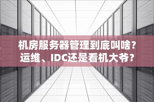 机房服务器管理到底叫啥？运维、IDC还是看机大爷？