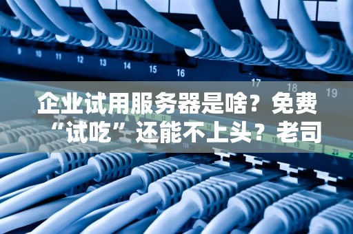 企业试用服务器是啥？免费“试吃”还能不上头？老司机带你避坑！