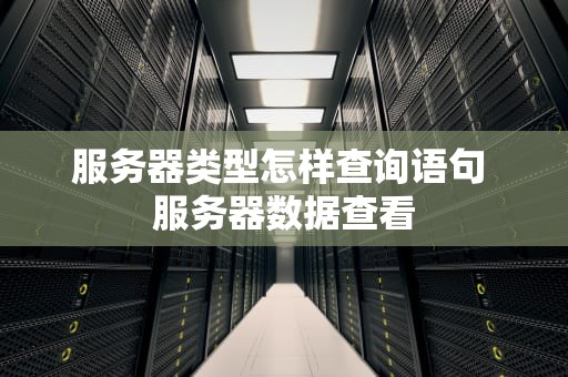 服务器类型怎样查询语句 服务器数据查看