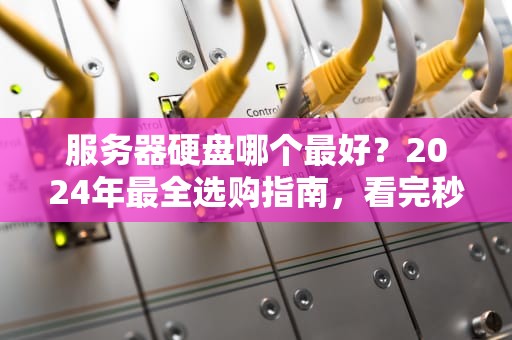服务器硬盘哪个最好？2024年最全选购指南，看完秒变老司机！