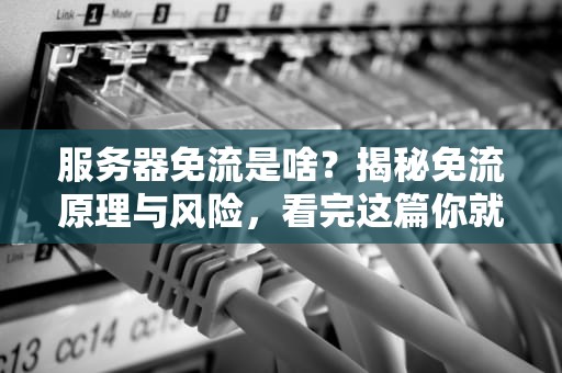 服务器免流是啥？揭秘免流原理与风险，看完这篇你就懂了！