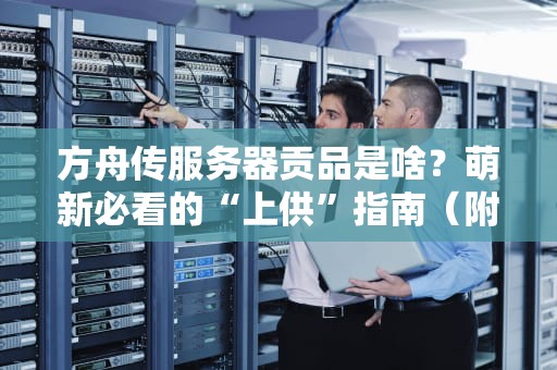 方舟传服务器贡品是啥？萌新必看的“上供”指南（附专业测评）