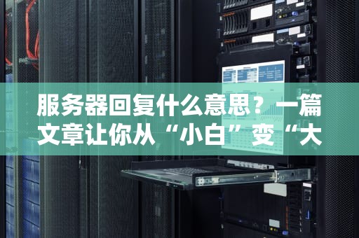 服务器回复什么意思？一篇文章让你从“小白”变“大神”