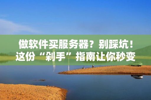 做软件买服务器？别踩坑！这份“剁手”指南让你秒变老司机