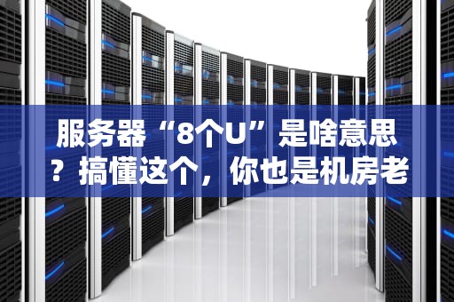 服务器“8个U”是啥意思？搞懂这个，你也是机房老司机！