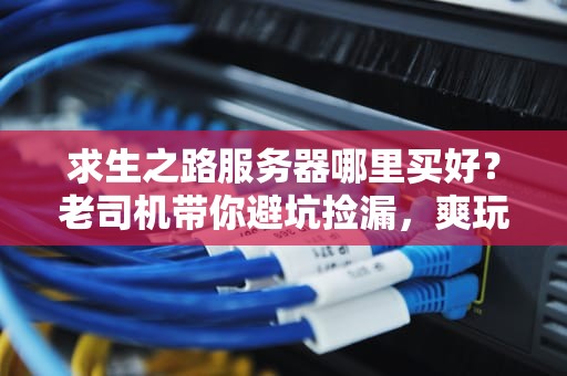 求生之路服务器哪里买好？老司机带你避坑捡漏，爽玩联机不卡顿！