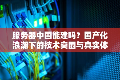 服务器中国能建吗？国产化浪潮下的技术突围与真实体验