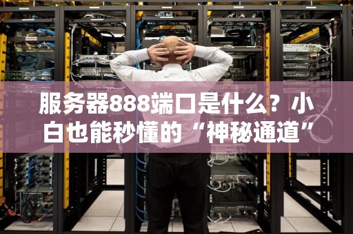 服务器888端口是什么？小白也能秒懂的“神秘通道”大揭秘！