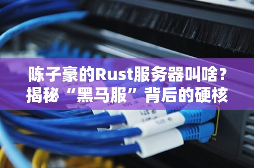 陈子豪的Rust服务器叫啥？揭秘“黑马服”背后的硬核科技与欢乐日常！