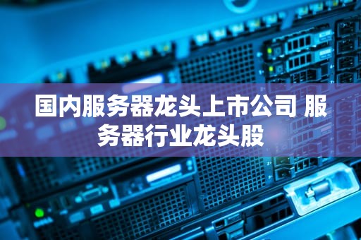 国内服务器龙头上市公司 服务器行业龙头股