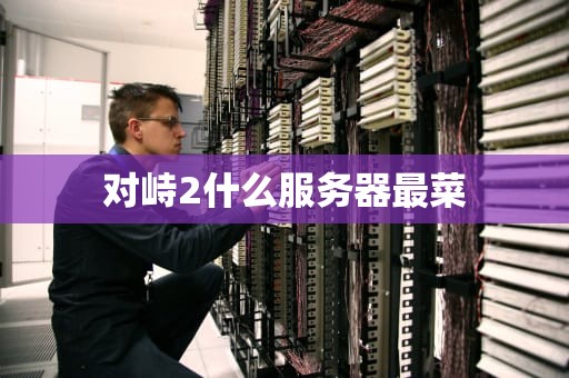 对峙2什么服务器最菜