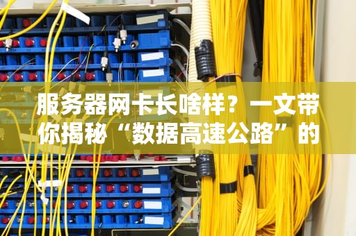 服务器网卡长啥样？一文带你揭秘“数据高速公路”的硬核内幕！