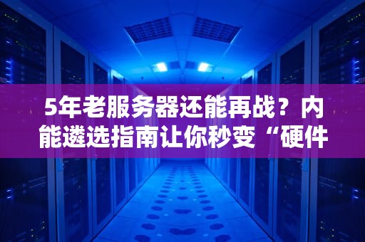 5年老服务器还能再战？内能遴选指南让你秒变“硬件老中医”