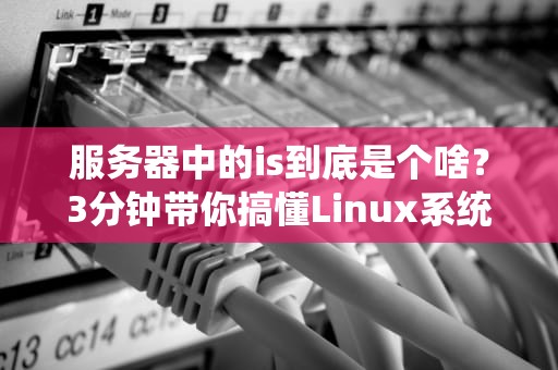 服务器中的is到底是个啥？3分钟带你搞懂Linux系统状态监控