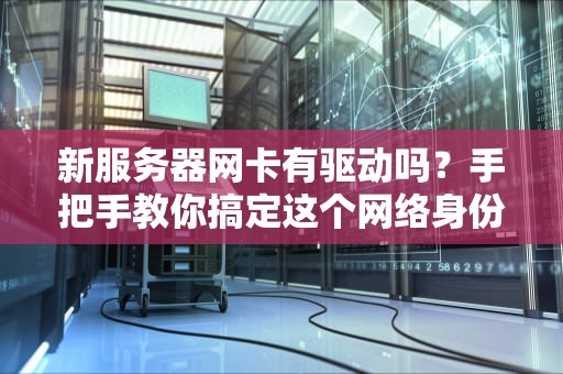 新服务器网卡有驱动吗？手把手教你搞定这个网络身份证！