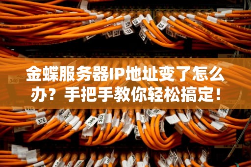 金蝶服务器IP地址变了怎么办？手把手教你轻松搞定！